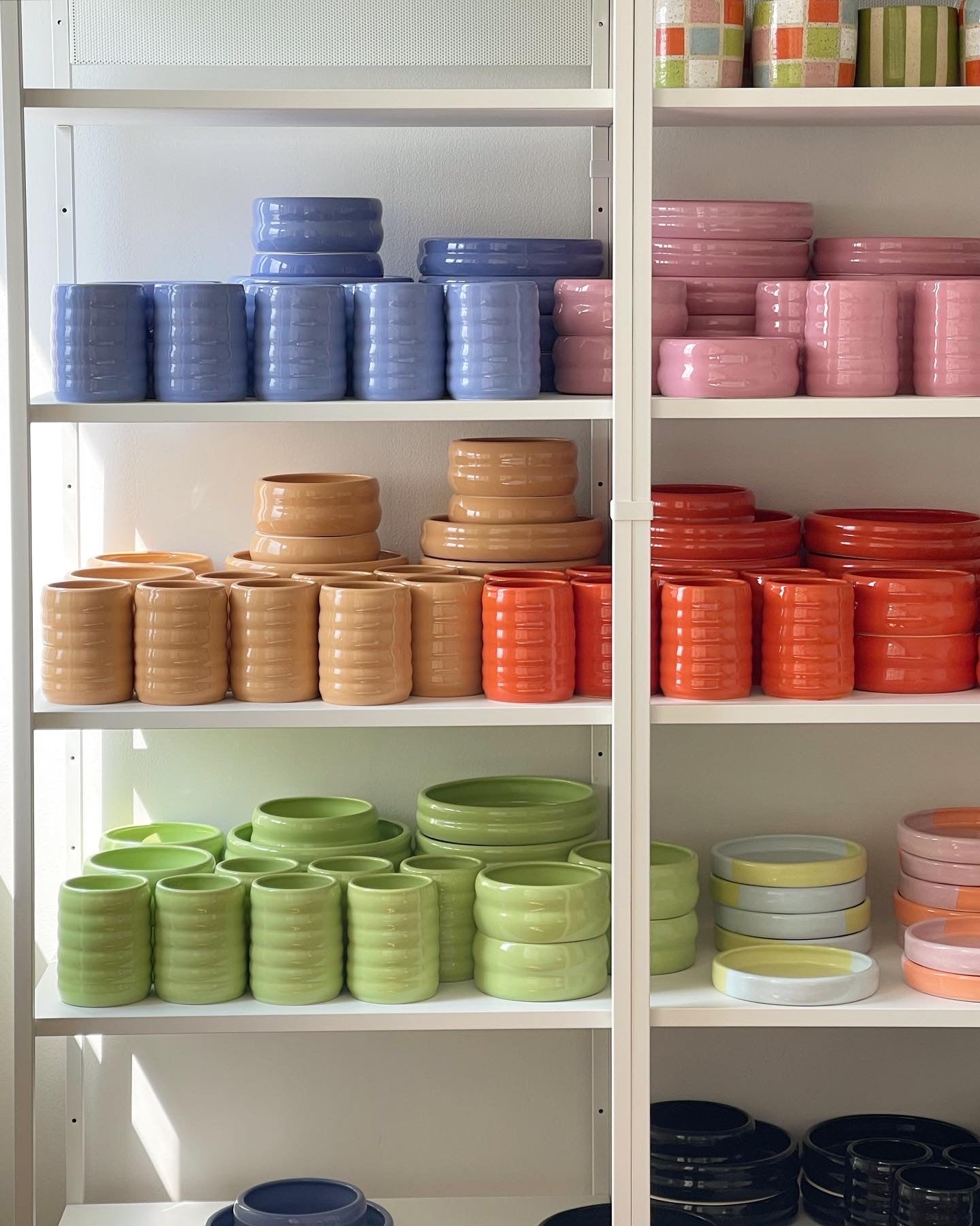 the wellness dinnerware set