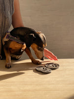 Load image into Gallery viewer, Pet Bowls at Laro (with Sacré Pets)
