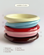 Load image into Gallery viewer, the wellness plate
