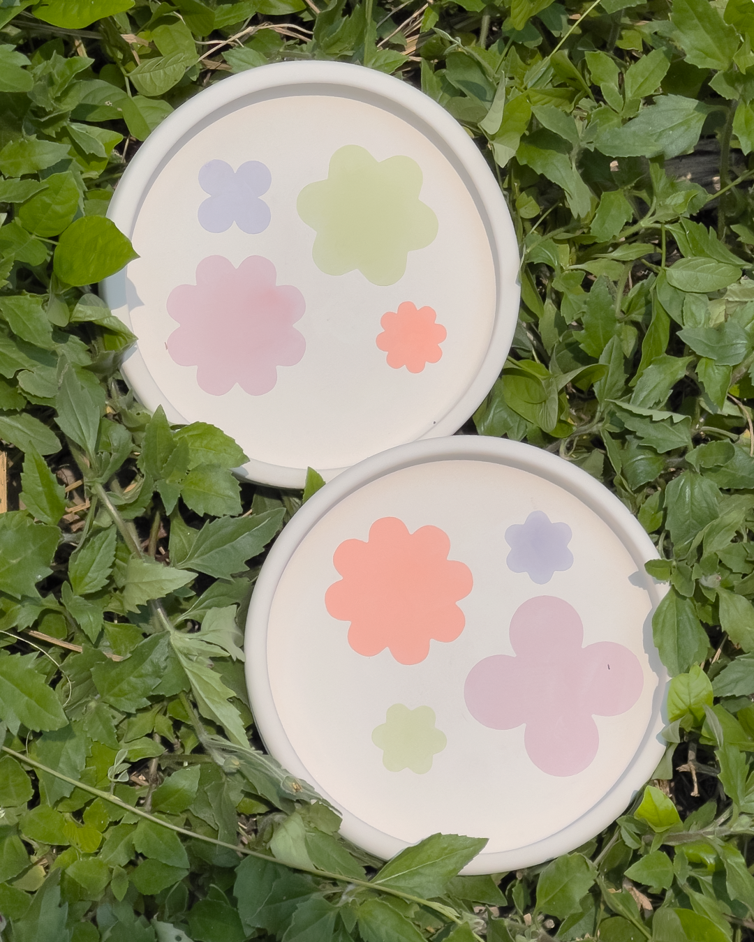 bloom dish