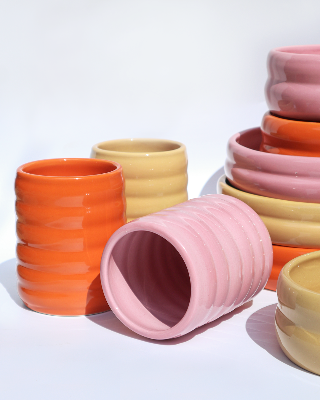 the wellness dinnerware set
