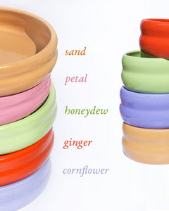 the wellness dinnerware set