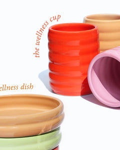the wellness dinnerware set